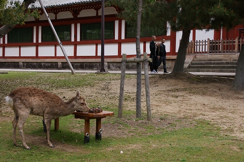 nara_photo03